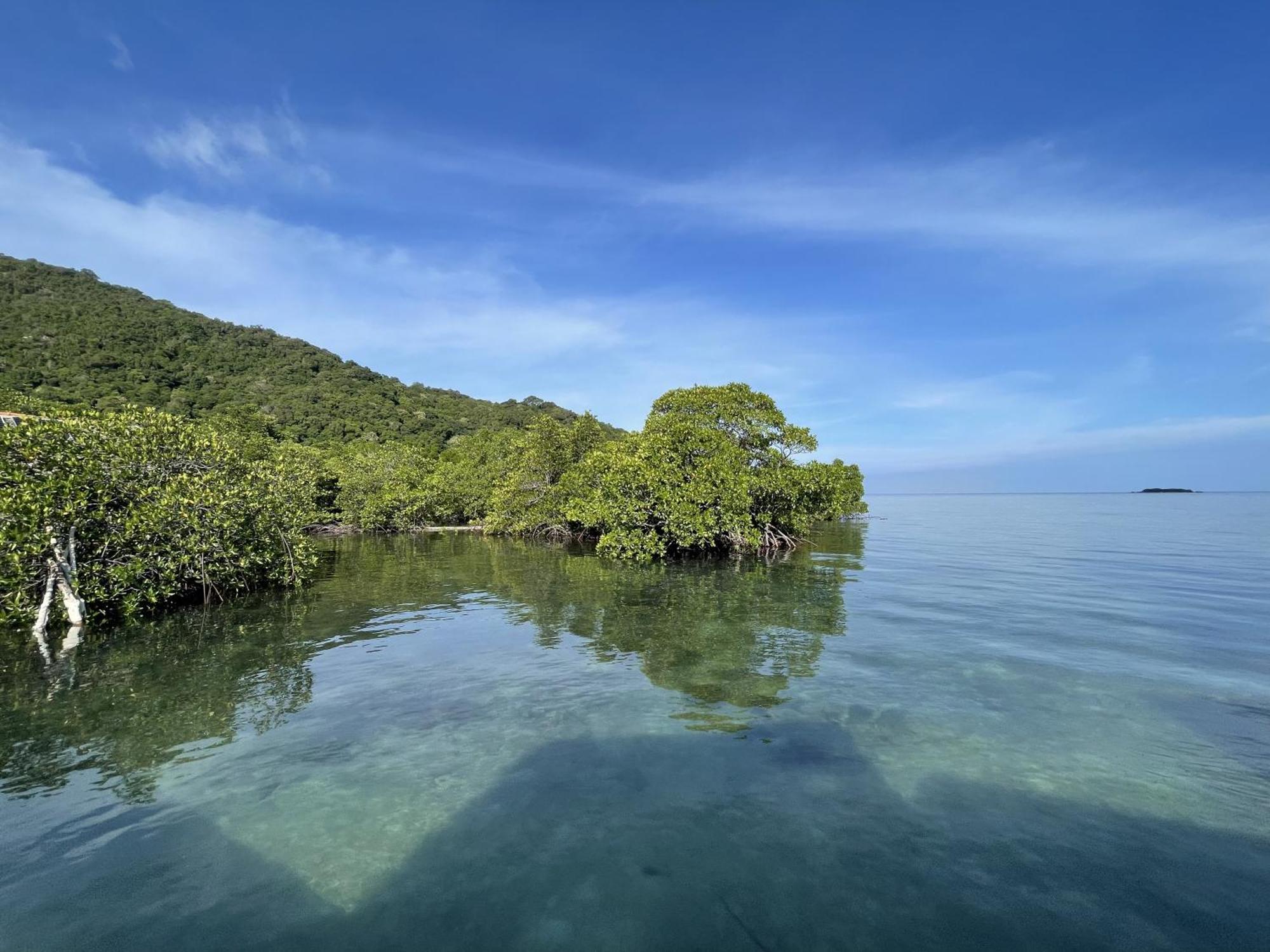 Floating Paradise Karimunjawa Exteriér fotografie